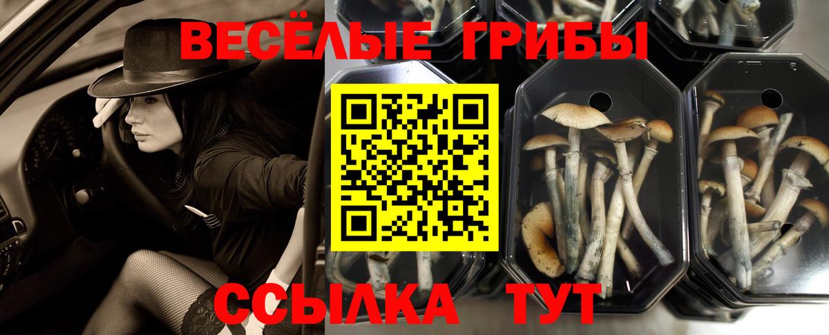 цены наркотик  Вход с VPN  Саяногорск  Галлюциногенные грибы Cubensis 