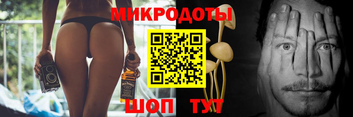 Галлюциногенные грибы Psilocybe Саяногорск